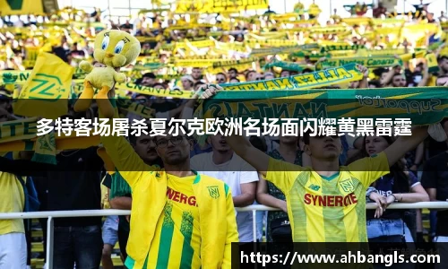 多特客场屠杀夏尔克欧洲名场面闪耀黄黑雷霆